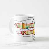 DNAの写し コーヒーマグカップ (正面左)