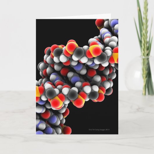 DNAの分子。 DNAの分子モデル カード (正面)