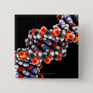 DNAの分子。 DNAの分子モデル 缶バッジ