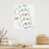 DNAの化学構造の詳細図 ポスター (キッチン)