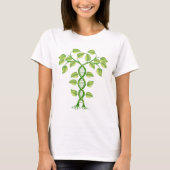 DNAの植物の概念 Tシャツ (正面)