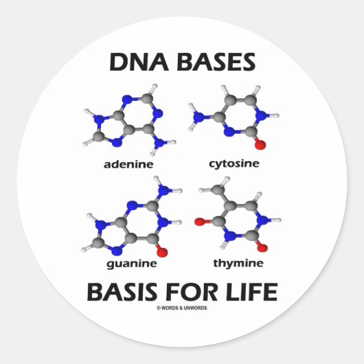 DNAの生命基盤（化学分子） ラウンドシール (正面)