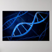 Dnaの顕微鏡的見解 ポスター (正面)