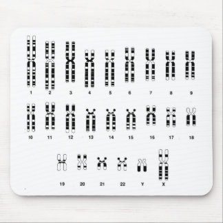 DNAのmousepad マウスパッド