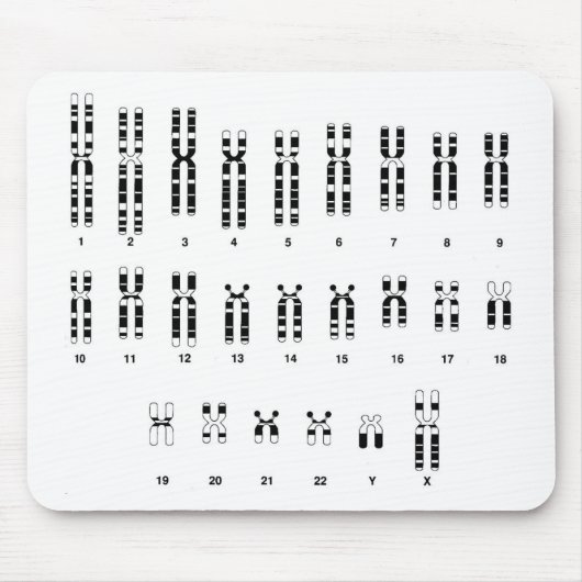 DNAのmousepad マウスパッド (正面)