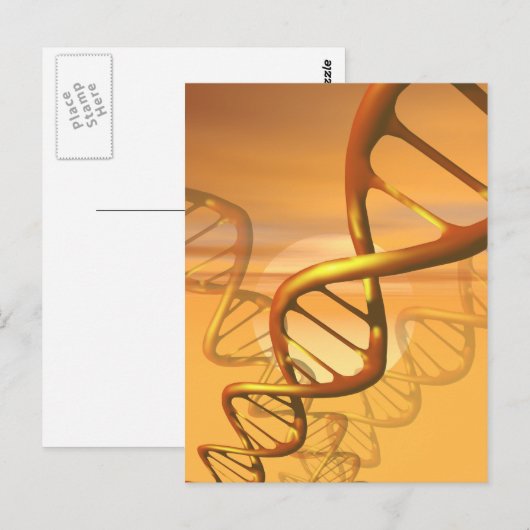 DNAはがき ポストカード (正面/裏面)