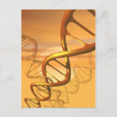 DNAはがき ポストカード (正面)