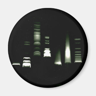 DNAゲル電気泳動磁石 マグネット