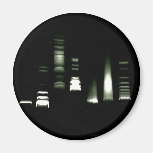 DNAゲル電気泳動磁石 マグネット (正面)