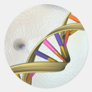 DNAコレクション ラウンドシール