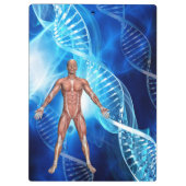 DNAストランドによる人間の解剖学 クリップボード (裏面)