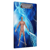 DNAストランドによる人間の解剖学 クリップボード (右)