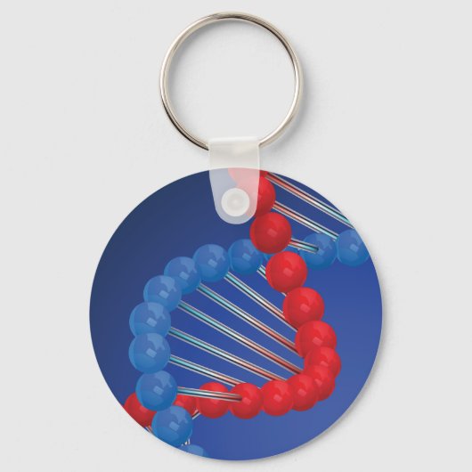 DNAストランドキーチェーン キーホルダー (正面)