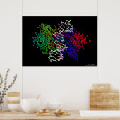 DNAタンパク質複合体 ポスター (キッチン)