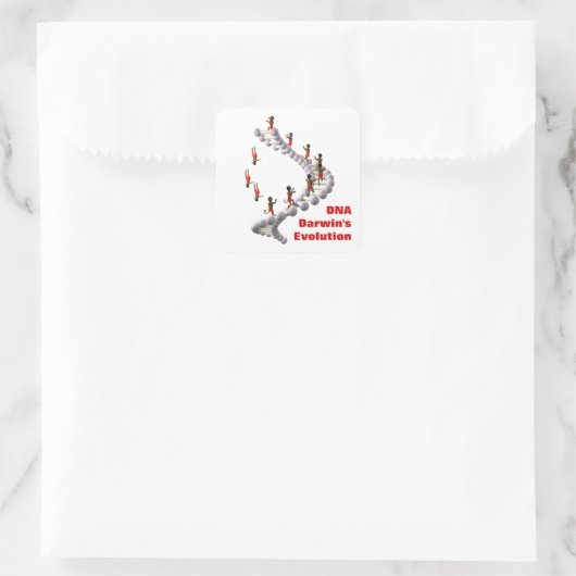 DNAダーウィン進化 スクエアシール (バッグ)