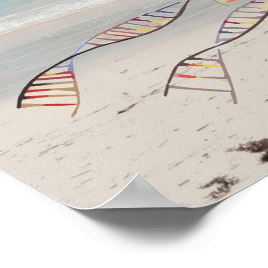 DNAツリーまたは生命の木のビーチポスター ポスター (角)