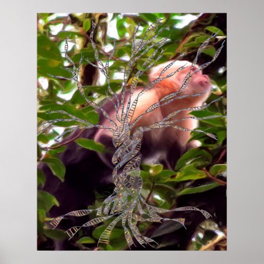 DNAツリーまたは生命の木のポスターモンキー背景 ポスター (正面)