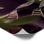 DNAツリーまたは生命の木のポスターモンキー背景 ポスター (角)