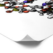 DNAデオキシリボ核酸図の構造 ポスター (角)