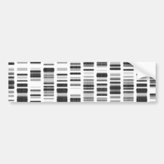 DNAプリント- バンパーステッカー (正面)