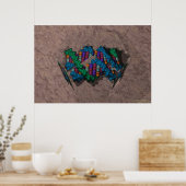 DNAペーパーウェイト ポスター (キッチン)