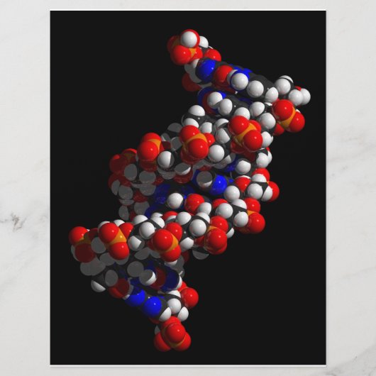DNA二重ヘリックスモデル チラシ (正面)