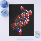 DNA二重ヘリックスモデル チラシ (シングル)