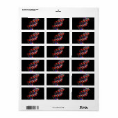 DNA二重ヘリックスモデル ラベル (フルシート)