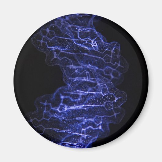 DNA二重ヘリックス冷蔵庫用マグネット マグネット (正面)