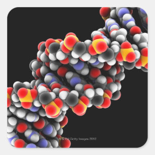 DNA分子。DNAの分子モデル スクエアシール