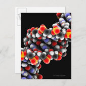 DNA分子。DNAの分子モデル ポストカード (正面/裏面)