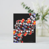 DNA分子。DNAの分子モデル ポストカード (スタンド正面)