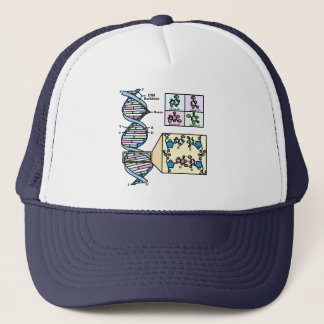 DNA図 キャップ