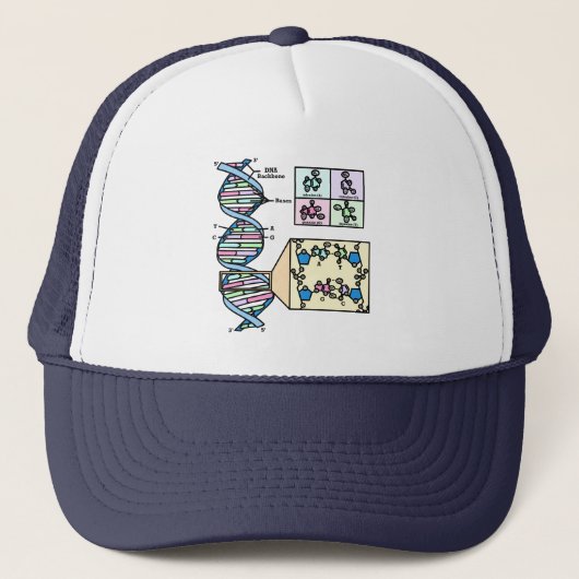 DNA図 キャップ (正面)