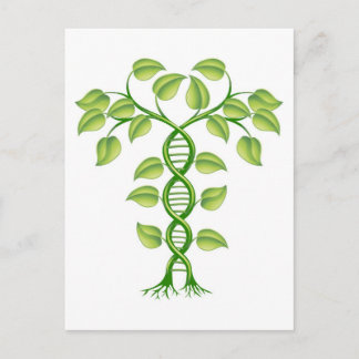 DNA植物概念 ポストカード
