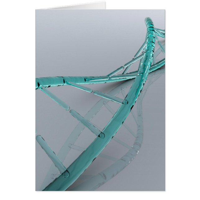 Dna概念像3 (正面)