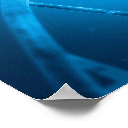 Dna概念像6 ポスター (角)