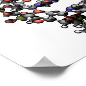 DNA構造デオキシリボ核酸塩基 ポスター (角)