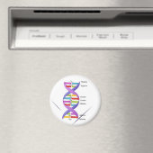 DNA磁石 マグネット (インサイチュ (食洗機))