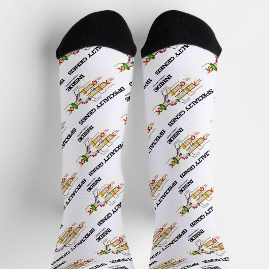 DNA複製内の特殊遺伝子 ソックス (上部)