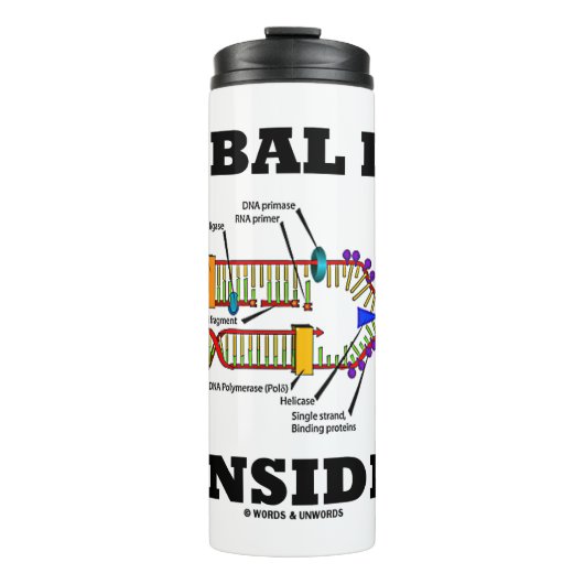 DNA複製生物人類学の中の部族DNA タンブラー (正面)