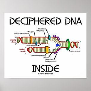 DNA複製生物学内の解読されたDNA ポスター