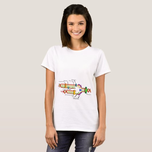 DNA複製 Tシャツ (正面フル)