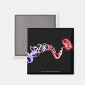 DNA鎖で作られた臍帯付き胎児 マグネット (正面/裏面)