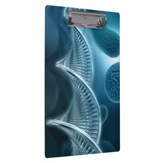 DNA鎖 クリップボード (右)