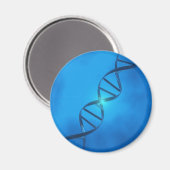 DNA鎖 マグネット (正面/裏面)