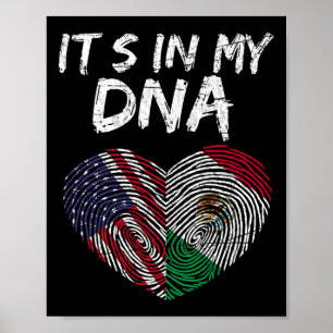DNA アメリカ メキシコ アメリカ国旗 メキシコ国旗 ポスター