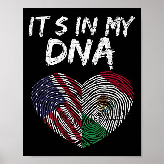 DNA アメリカ メキシコ アメリカ国旗 メキシコ国旗 ポスター (正面)