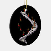 DNA:ダーウィンの進化 セラミックオーナメント (右)