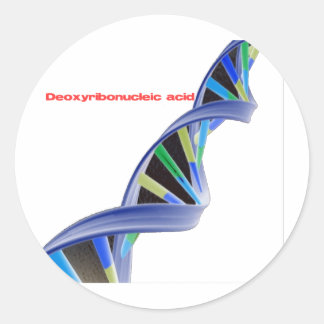 DNA – デオキシリボ核酸 ラウンドシール